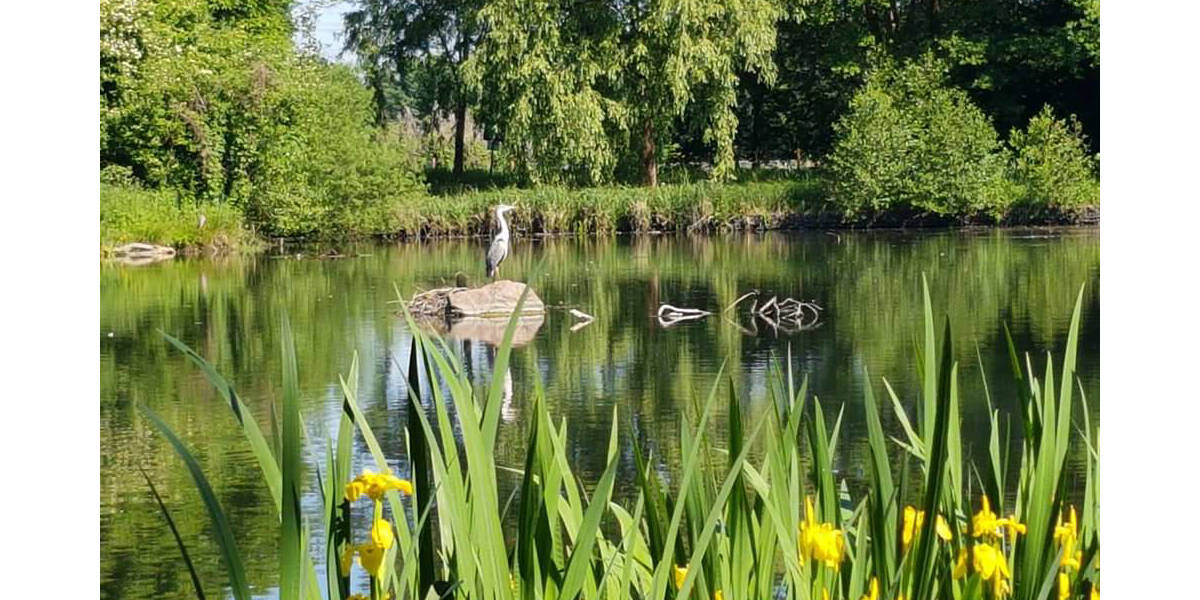 Etagenwohnung Hamburg Niendorf - 2 Zimmer, 52 m&sup2;, 1.350&euro; | Angebot:26107893