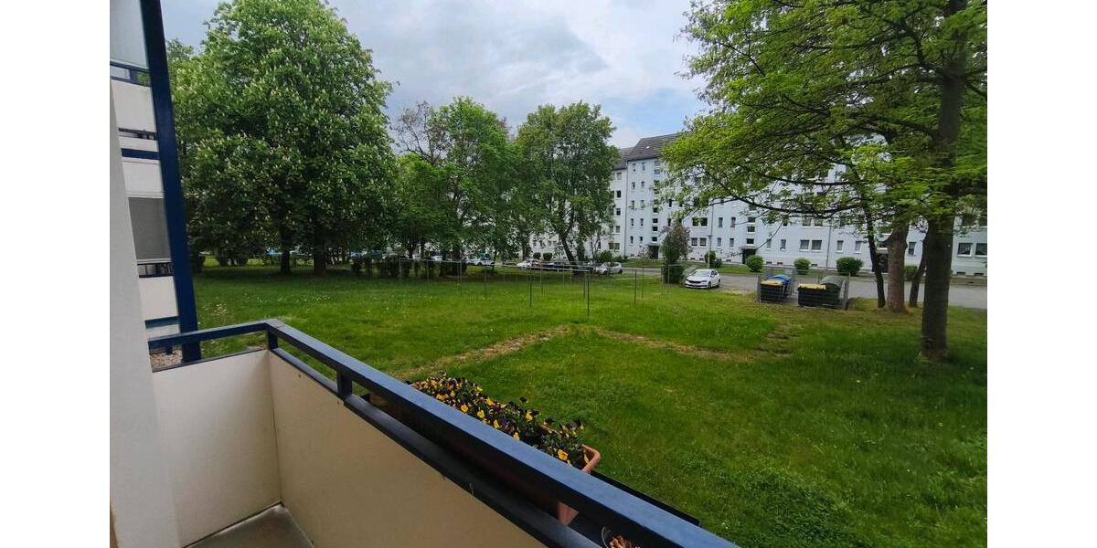 Erdgeschoßwohnung Plauen - 3 Zimmer, 57 m&sup2;, 488&euro; | Angebot:26476465