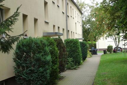 Wohnung Borna - 3 Zimmer, 55 m&sup2;, 320&euro; | Angebot:25612328