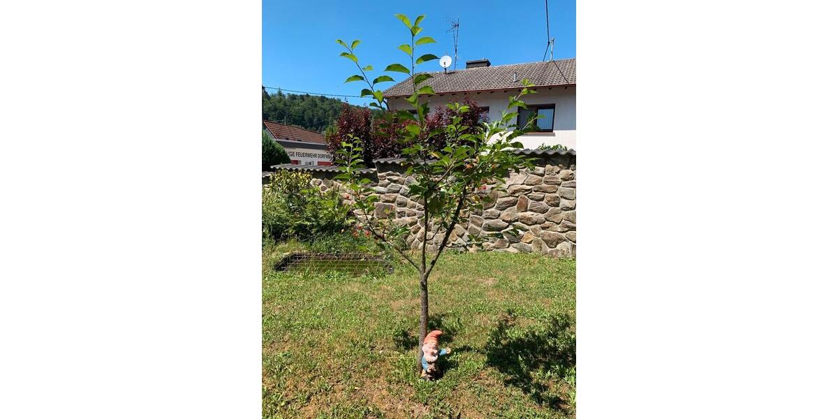Einfamilienhaus Schmitten im Taunus - 8 Zimmer, 160 m&sup2;, 1.750&euro; | Angebot:26444370