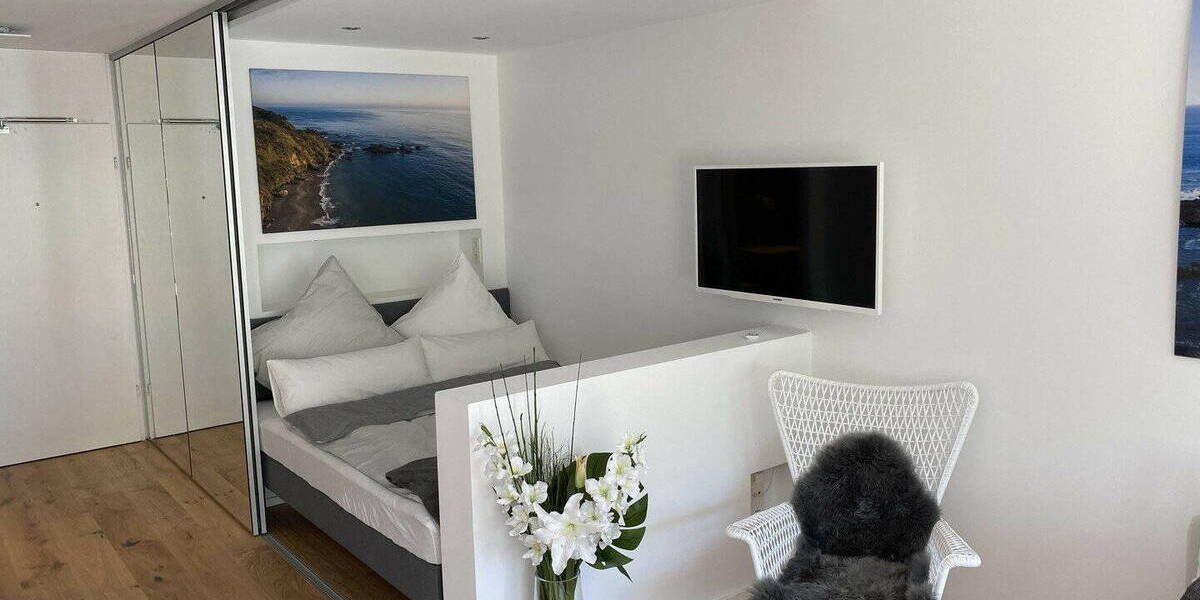 Terrassenwohnung Mannheim Neckarstadt - 1 Zimmer, 49 m&sup2;, 1.050&euro; | Angebot:26200085