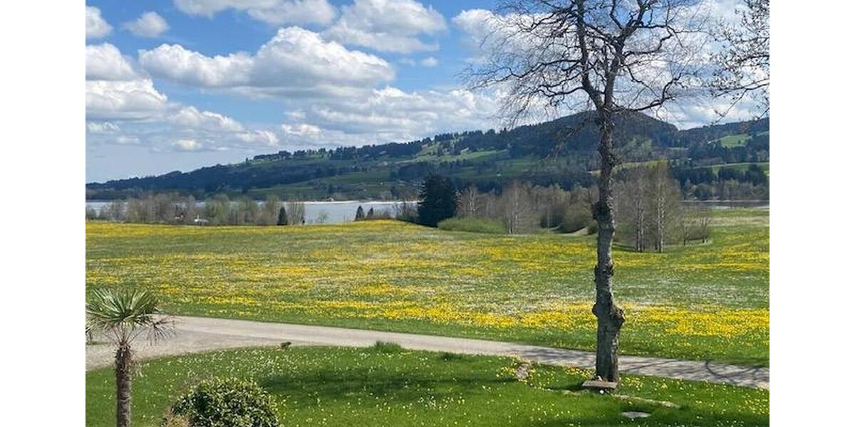 Gewerbeobjekt Sulzberg - 10&euro; | Angebot:24473091