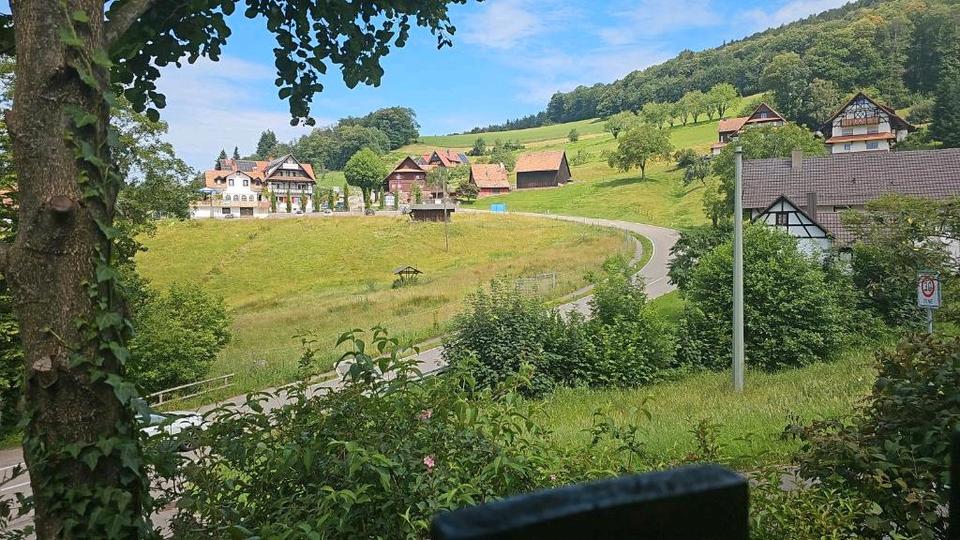 Etagenwohnung Rheinau - 1 Zimmer, 25 m&sup2;, 650&euro; | Angebot:24472396