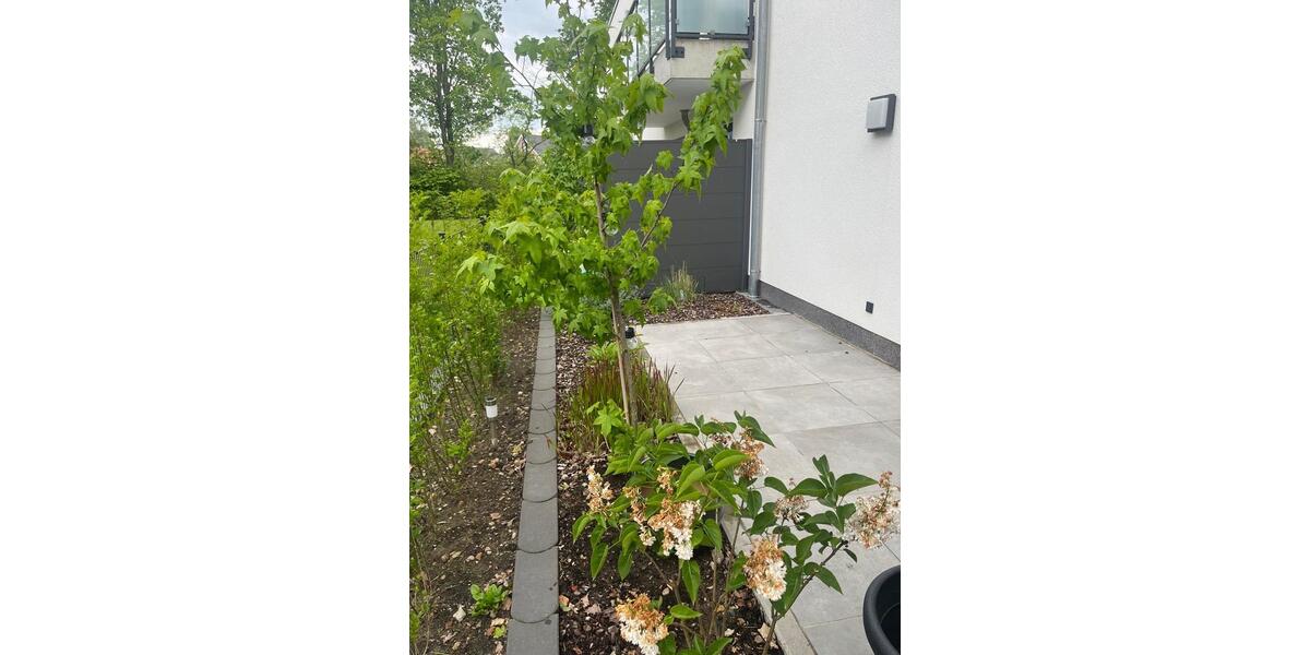Erdgeschoßwohnung Rheine Altenrheine - 2 Zimmer, 65 m&sup2;, 678&euro; | Angebot:26632819