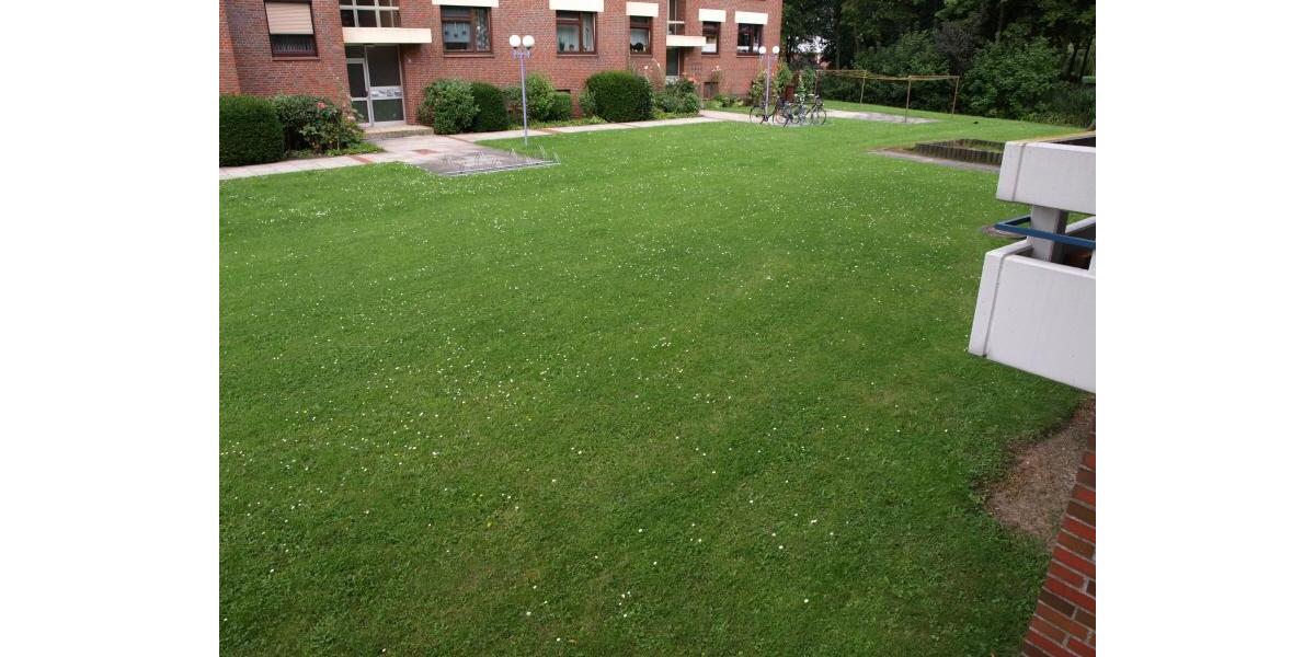 Erdgeschoßwohnung Nordenham - 2 Zimmer, 60 m&sup2;, 480&euro; | Angebot:25104892