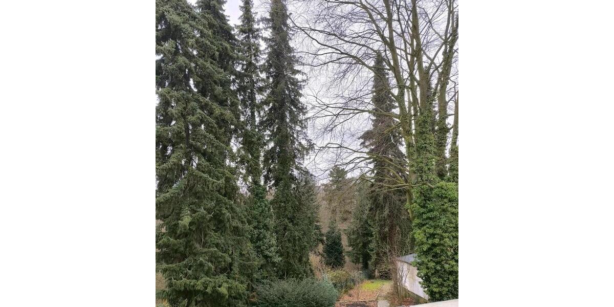 Erdgeschoßwohnung Mülheim an der Ruhr Mellinghofen - 2.5 Zimmer, 78 m&sup2;, 800&euro; | Angebot:25205269