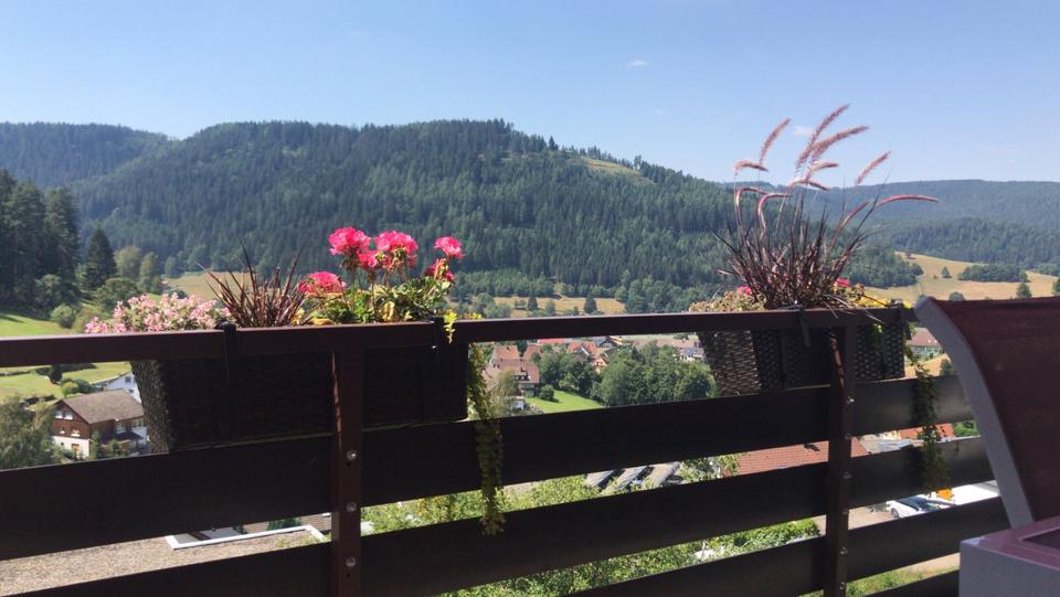 Etagenwohnung Baiersbronn - 2 Zimmer, 58 m&sup2;, 579&euro; | Angebot:25856628