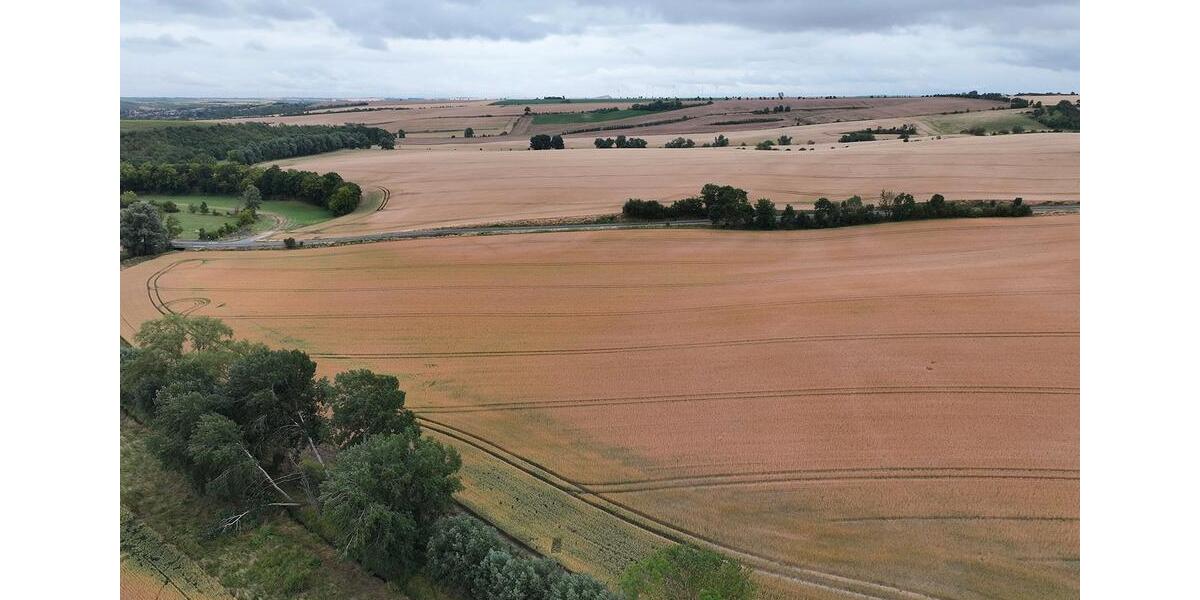 Kompakte Ackerfläche für Jedermann bei Halle (Saale) - ca. 1330 m² zimmer