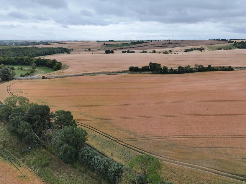 Kompakte Ackerfläche für Jedermann bei Halle (Saale) - ca. 1330 m² zimmer