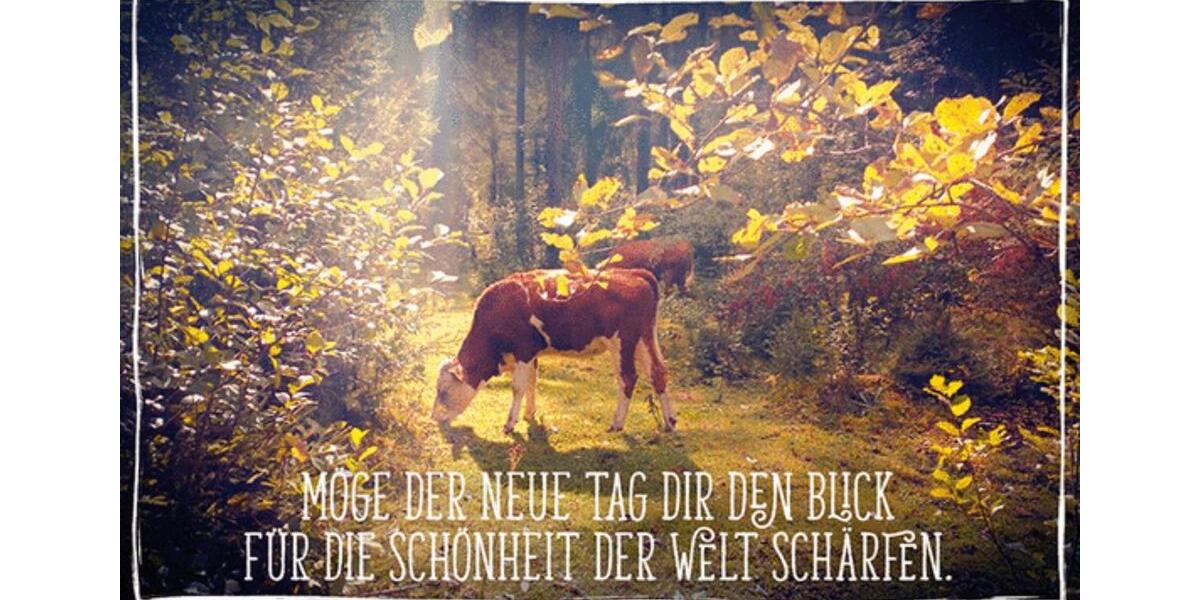 Wohnung im Fachwerkhaus Hofgemeinschaft 1 zimmer