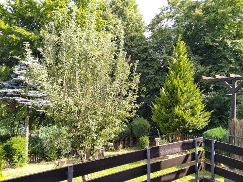 Erdgeschoßwohnung Springe - 5 Zimmer, 120 m&sup2;, 950&euro; | Angebot:26021955