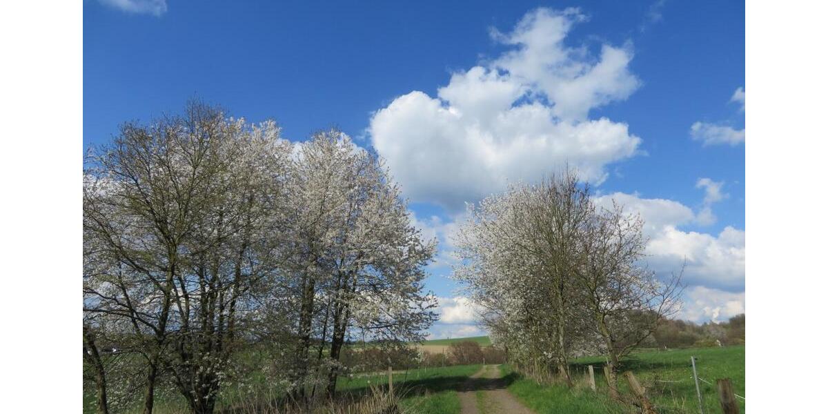 Großes Haus mit Keller und Garten nähe Hennef Uckerath 6 zimmer