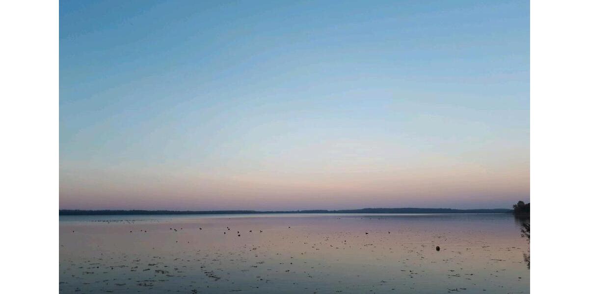 Wohnen auf Zeit Borgstedt - 1 Zimmer, 25 m&sup2;, 45&euro; | Angebot:23274890