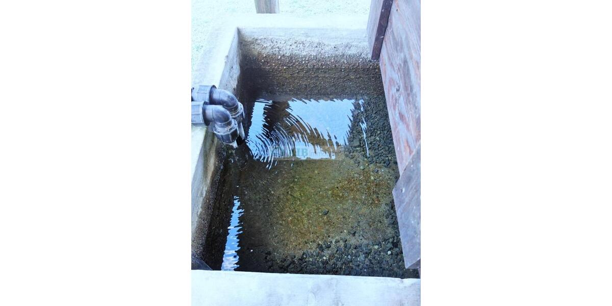 Erdgeschoßwohnung Pockau-Lengefeld Lengefeld - 2 Zimmer, 50 m&sup2;, 275&euro; | Angebot:25804802