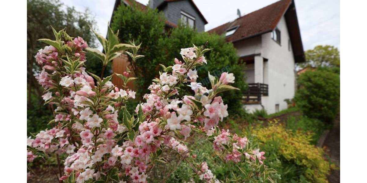 Etagenwohnung Pfungstadt - 2 Zimmer, 66 m&sup2;, 700&euro; | Angebot:27001785