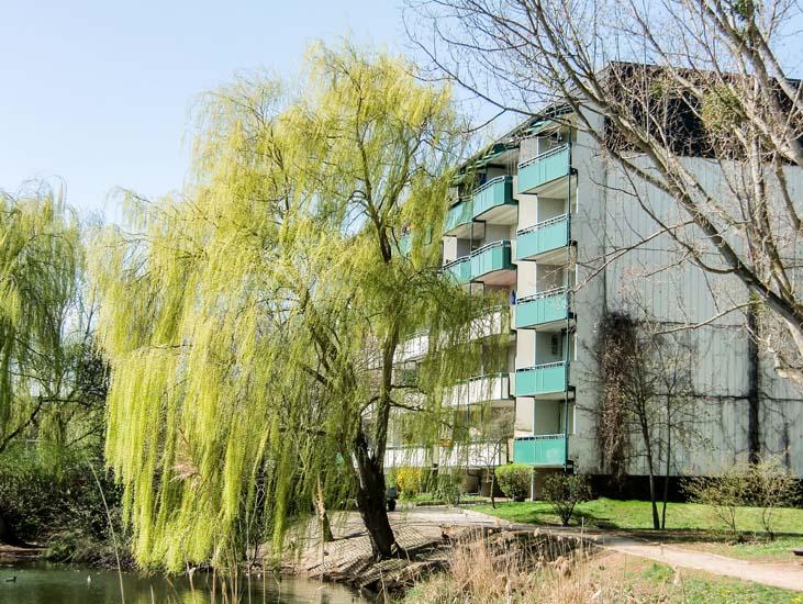 Nur wenige Stufen ins Glück zimmer