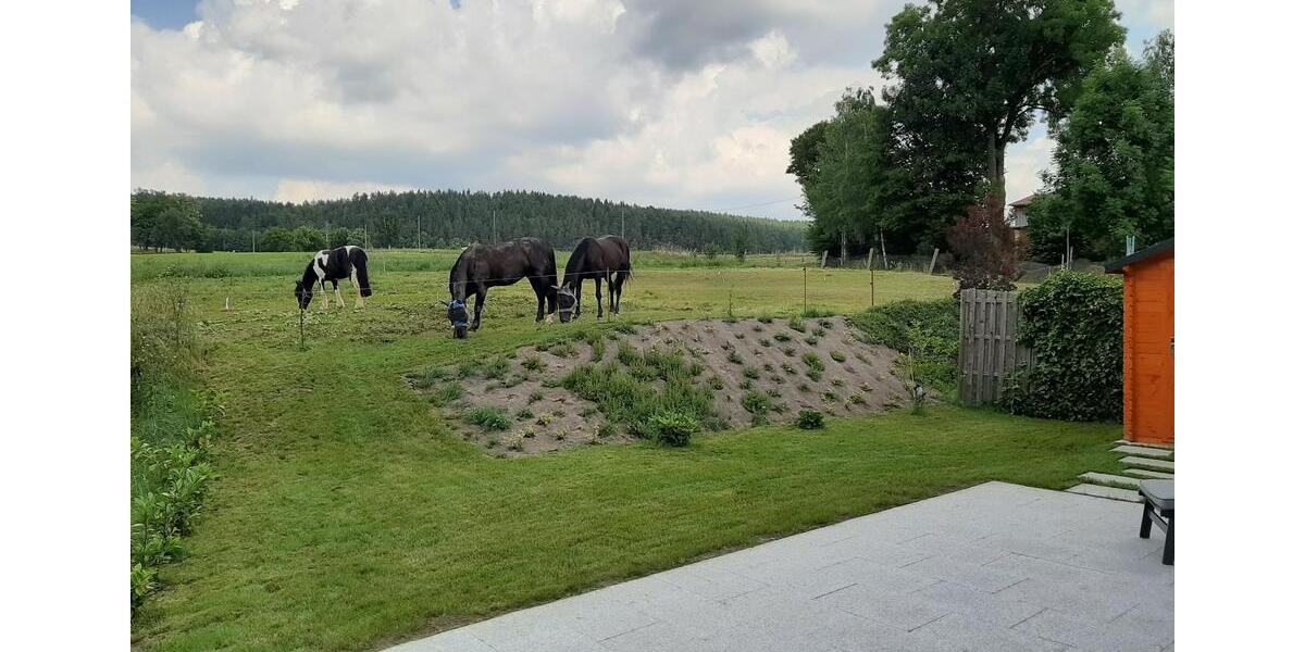 Doppelhaushälfte Greiz - 5 Zimmer, 160 m&sup2;, 1.300&euro; | Angebot:24640736