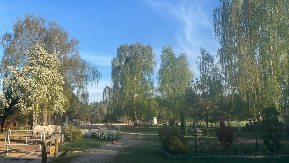 Sonnige großzügige 4 Zi-Wohnung in traumhafter Umgebung 120 qm !! 4 zimmer