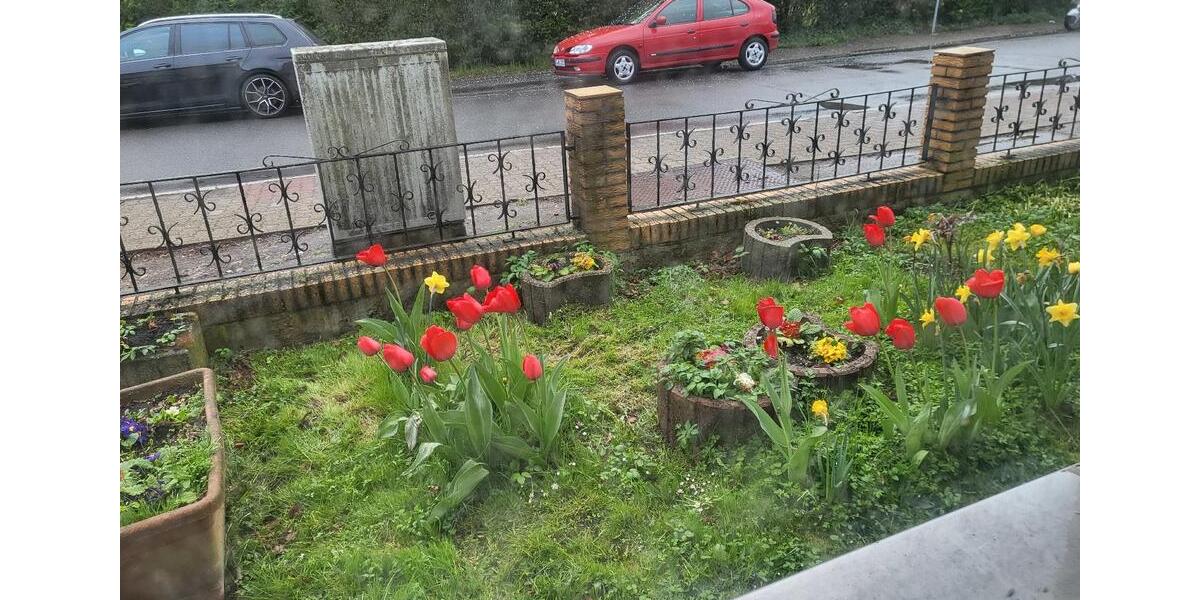 Erdgeschoßwohnung Salzgitter Ortschaft Südost - 3 Zimmer, 70 m&sup2;, 380&euro; | Angebot:26233643