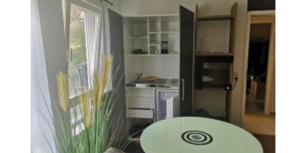 Erdgeschoßwohnung Mosbach - 1 Zimmer, 40 m&sup2;, 350&euro; | Angebot:25171941