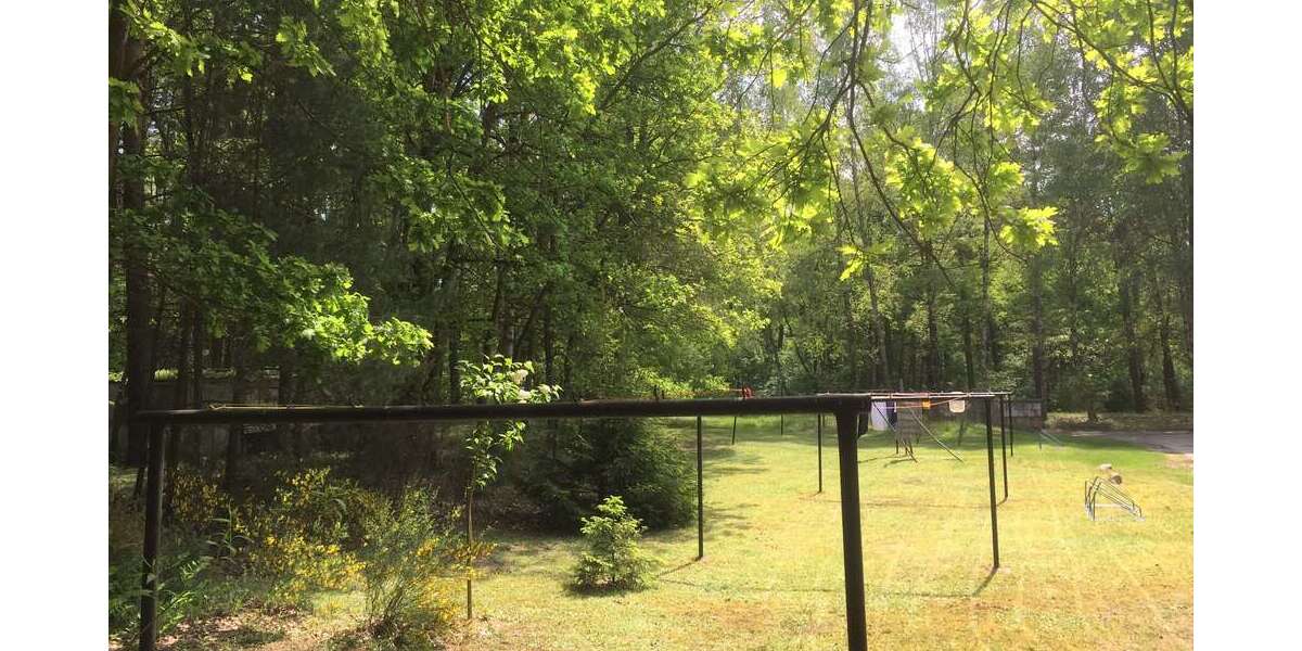 Helle, freundliche 3 Zimmer Wohnung mit EBK in der Waldsiedlung - Appartement Ziegendorf | Angebot:12503298