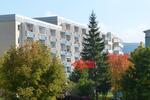 Etagenwohnung Zella-Mehlis Mehlis - 2 Zimmer, 50 m&sup2;, 320&euro; | Angebot:17706035