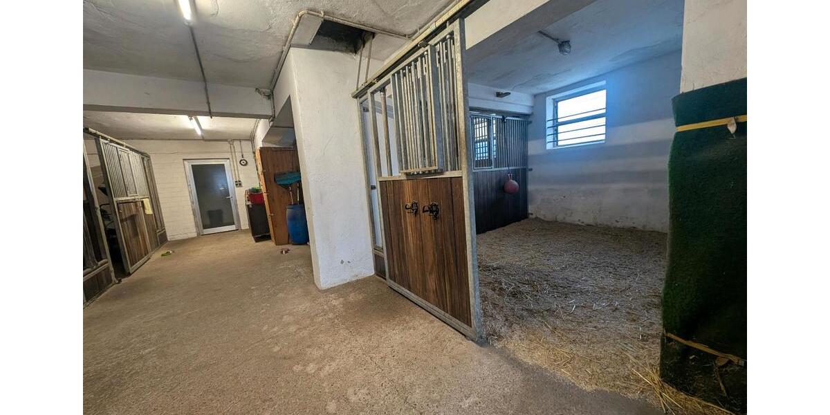 Etagenwohnung Gescher - 6 Zimmer, 110 m&sup2;, 1.250&euro; | Angebot:24808585