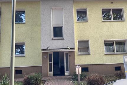Wohnung Duisburg Hamborn - 7 Zimmer, 175 m&sup2;, 1.350&euro; | Angebot:26671729