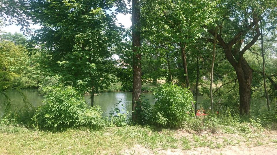 Wohnen auf Zeit Sigmaringen - 1 Zimmer, 18 m&sup2;, 430&euro; | Angebot:24655793