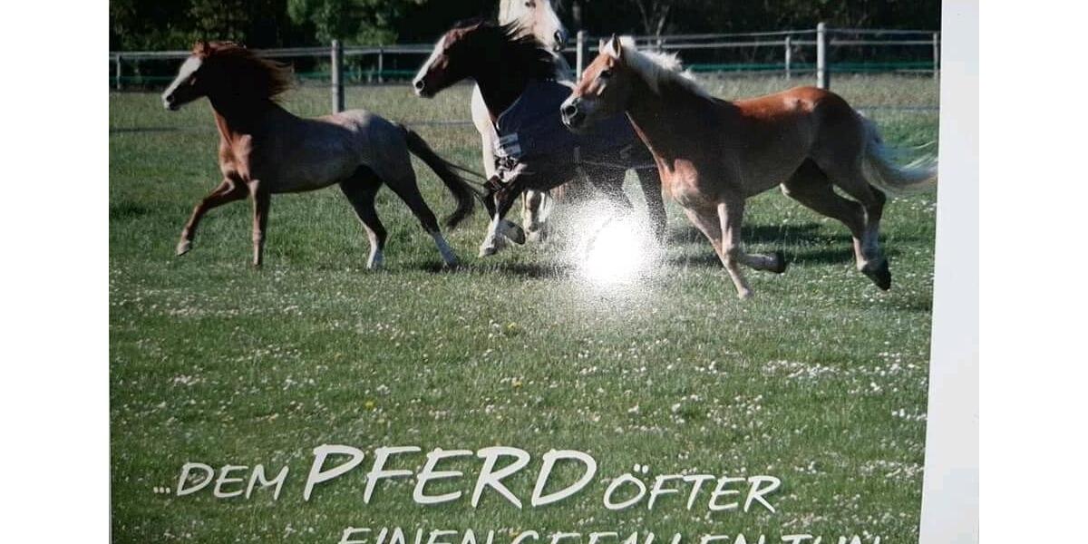 Erdgeschoßwohnung Henstedt-Ulzburg Ulzburg - 2 Zimmer, 30 m&sup2;, 650&euro; | Angebot:26036274