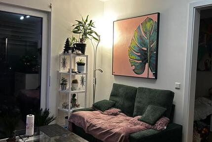 Wohnung Miete 1 zimmer