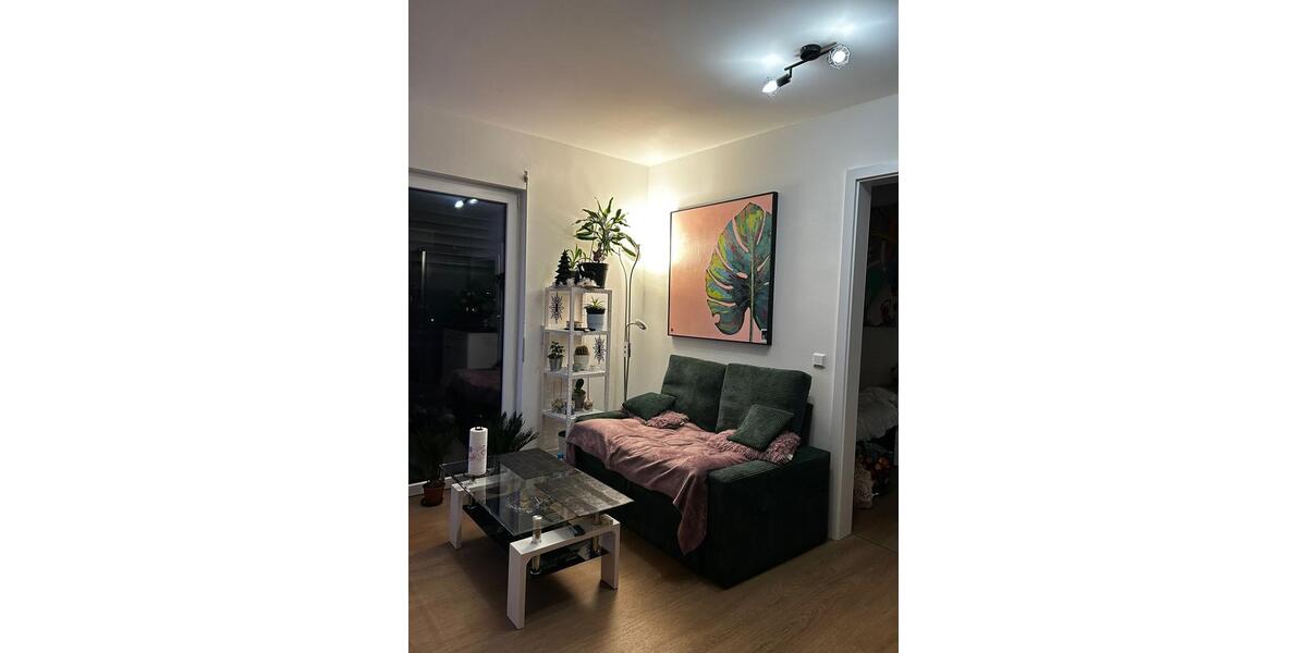 Wohnung Miete 1 zimmer