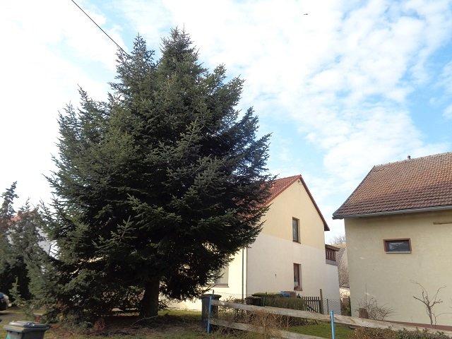 Dachgeschoßwohnung Triptis - 2 Zimmer, 65 m&sup2;, 455&euro; | Angebot:26035228