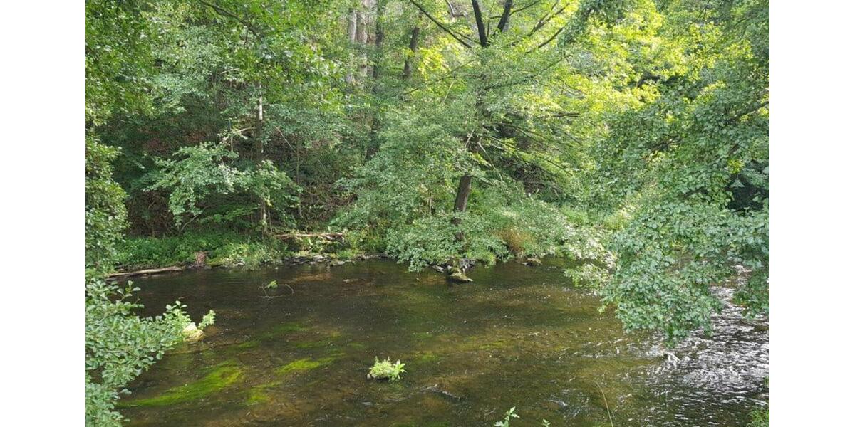 Wohnen auf Zeit Thale - 6 Zimmer, 120 m&sup2;, 14&euro; | Angebot:19467584