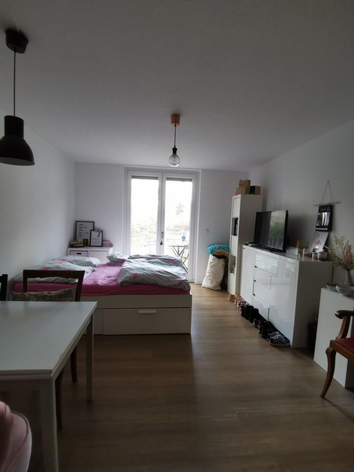 1-Zi-Appartment mit Einbauküche, Sanderau ab 15.09. oder 01.10.25