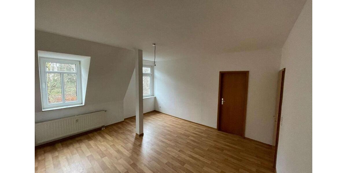Dachgeschoßwohnung Plauen - 2 Zimmer, 49 m&sup2;, 254&euro; | Angebot:26178346