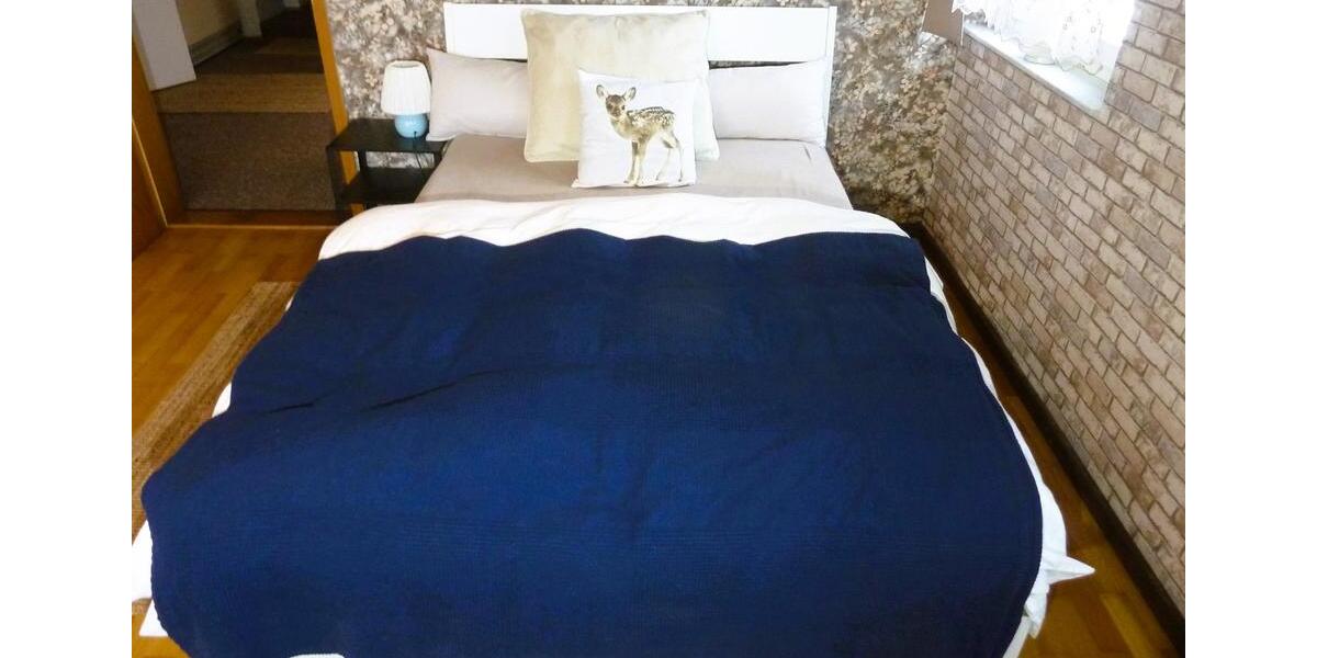 Wohnen auf Zeit Eckersdorf - 1 Zimmer, 47 m&sup2;, 700&euro; | Angebot:24478995