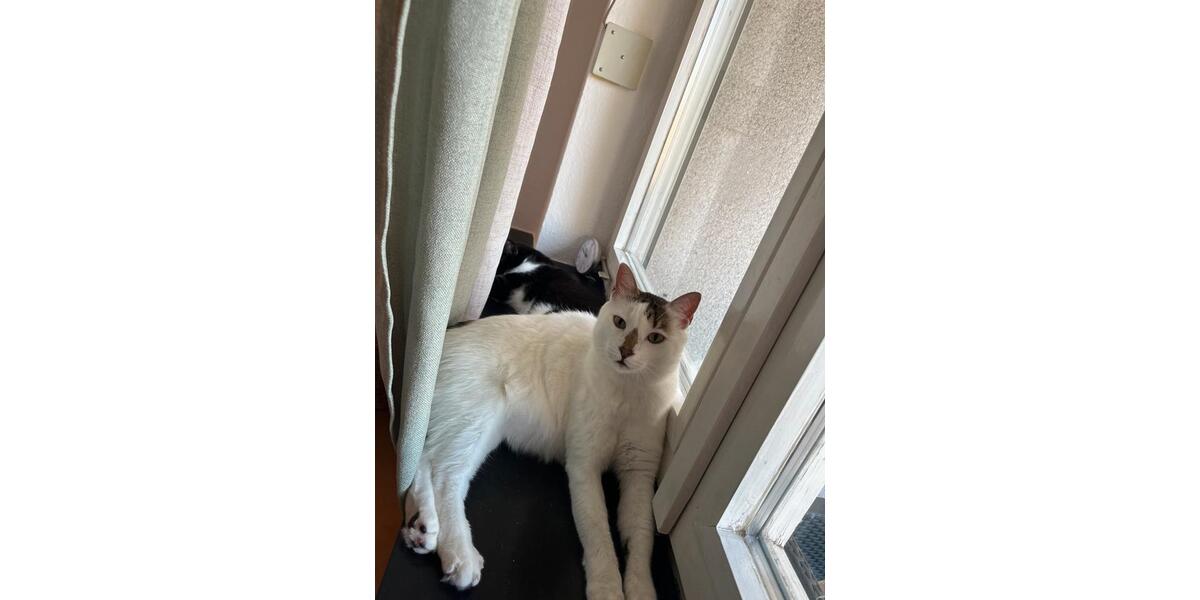 Wohnen auf Zeit Uttenreuth - 12 Zimmer, 78 m&sup2;, 400&euro; | Angebot:24593608