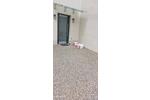 Erdgeschoßwohnung Olsdorf - 2 Zimmer, 45 m&sup2;, 550&euro; | Angebot:26564440