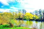 Etagenwohnung Dessau-Roßlau Dessau - 4 Zimmer, 90 m&sup2;, 970&euro; | Angebot:26635233