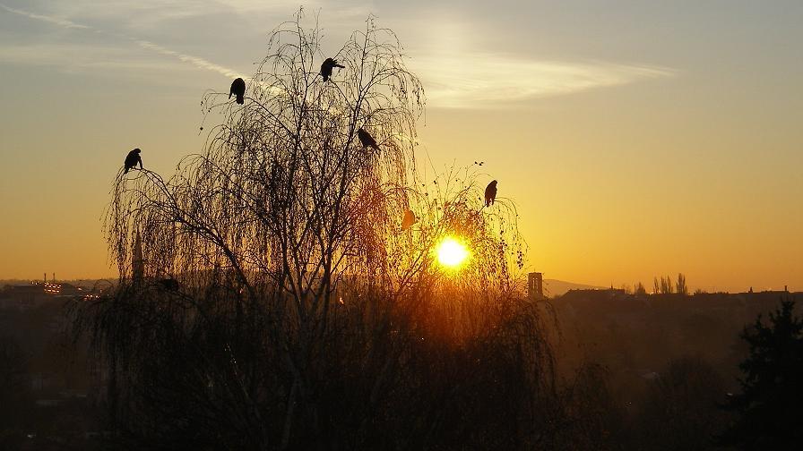 Gewerbeobjekt Riesa Neuweida - 630&euro; | Angebot:26226469