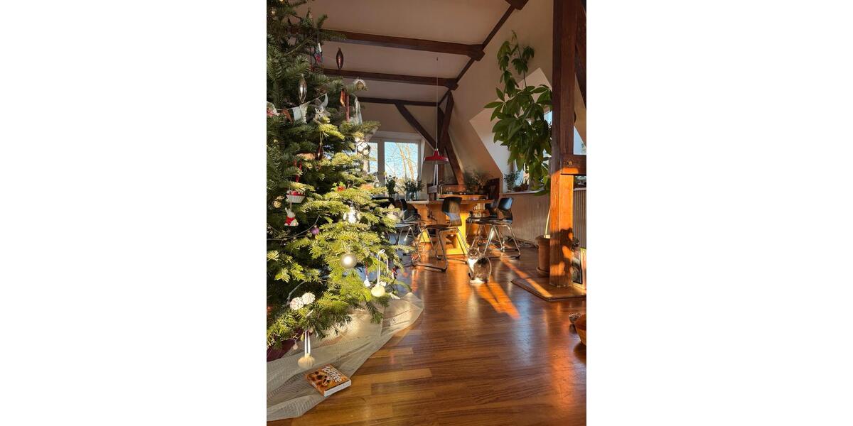 Dachgeschoßwohnung Berlin Steglitz-Zehlendorf - 1 Zimmer, 22 m&sup2;, 730&euro; | Angebot:26056881