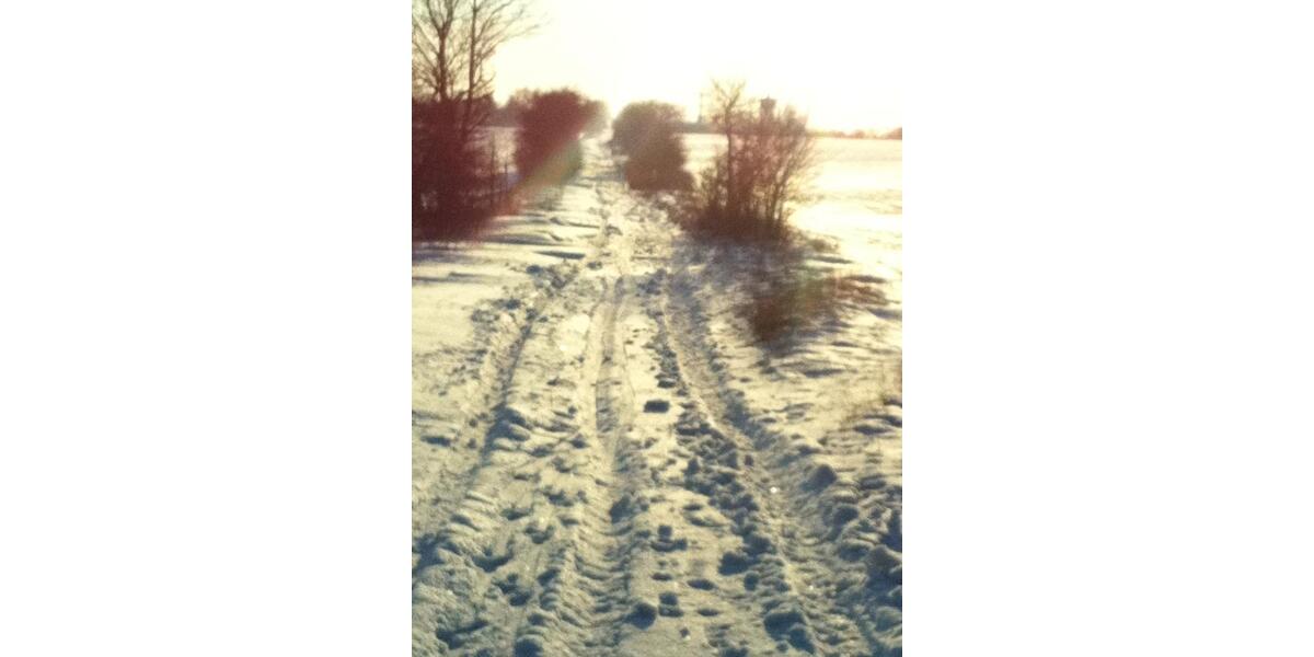 Wohnen auf Zeit Wiesenburg/Mark Mark - 1 Zimmer, 35 m&sup2;, 490&euro; | Angebot:24851381