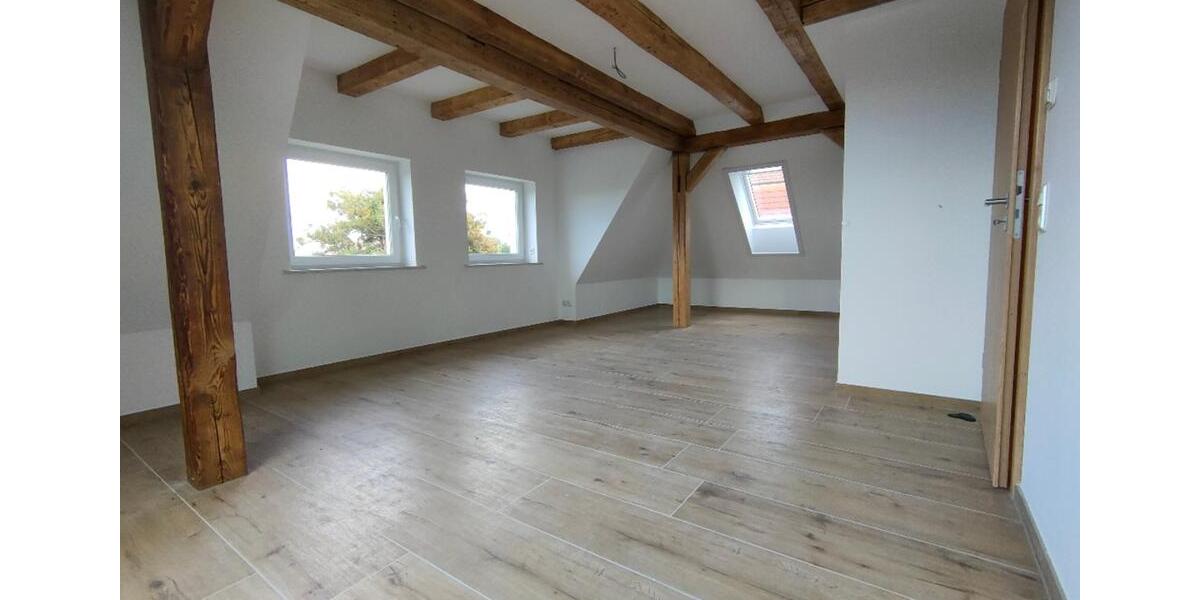 sanierte große 2-Raum-Dachgeschosswohnung im Loft- Stil mit Einbauküche, Gartennutzung in Ebersbach 2 zimmer