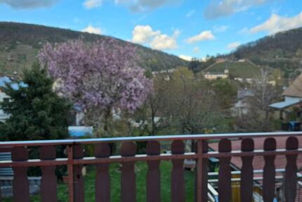 Gewerbeobjekt Klingenberg am Main - 3 Zimmer, 120 m&sup2;, 1.200&euro; | Angebot:26065486