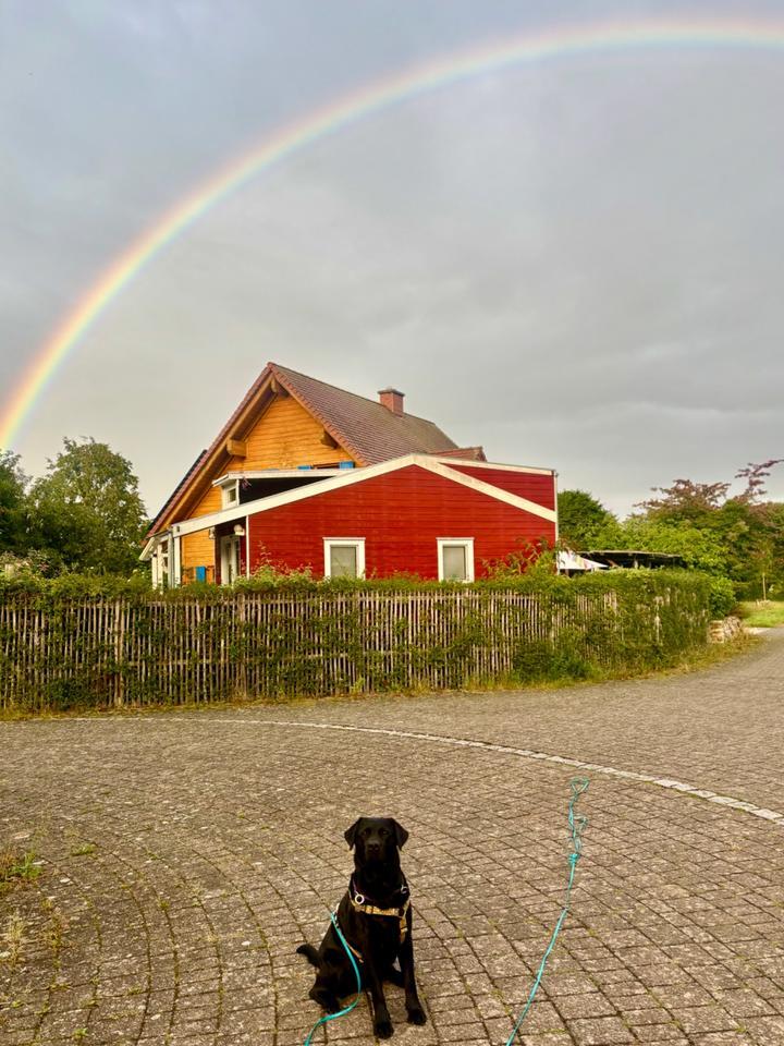 Tinyhouse zu vermieten