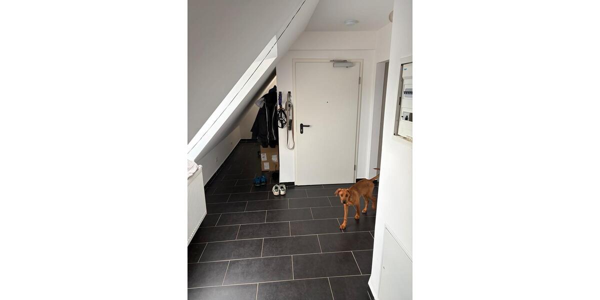 Etagenwohnung Sundern (Sauerland) - 4 Zimmer, 120 m&sup2;, 900&euro; | Angebot:26615592
