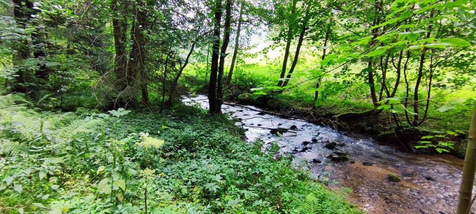 Einfamilienhaus Lauterbach - 3 Zimmer, 150 m&sup2;, 1.000&euro; | Angebot:20970242