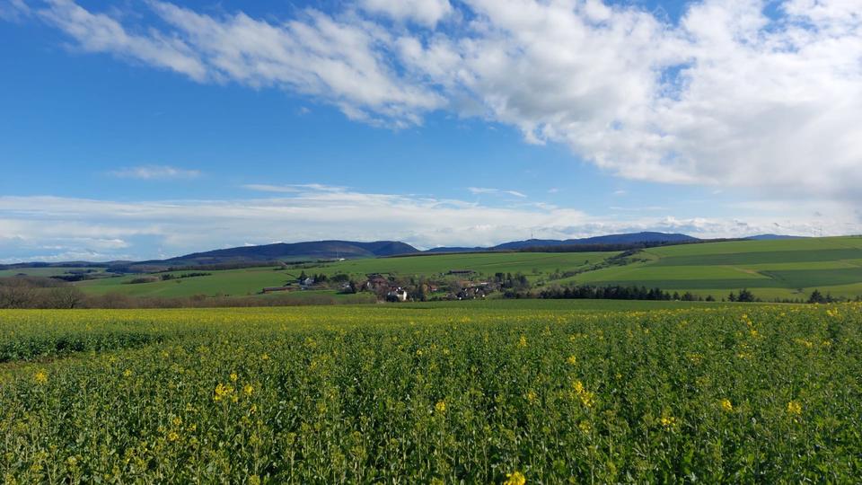 Etagenwohnung Lauterecken - 2 Zimmer, 70 m&sup2;, 385&euro; | Angebot:25968205