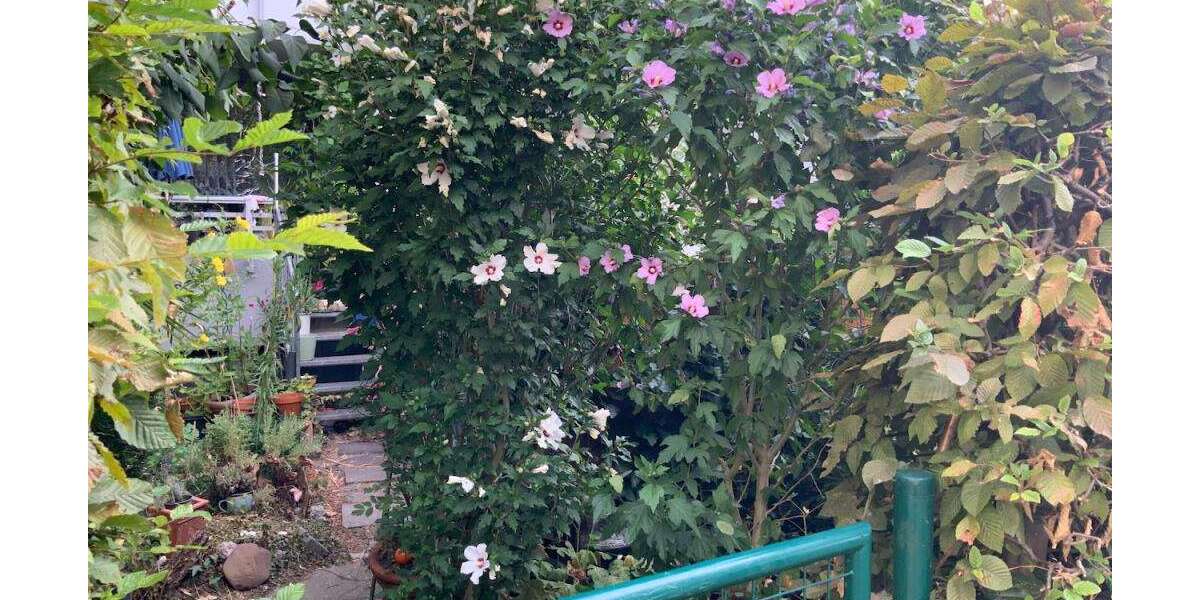 Etagenwohnung Monheim - 3 Zimmer, 76 m&sup2;, 869&euro; | Angebot:27029891